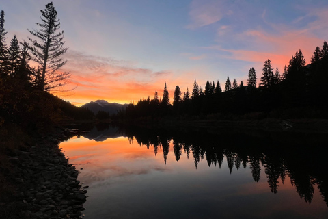 Banff: Grizzly Bear & Nature Walk & Hidden Gem Sunset Tour
