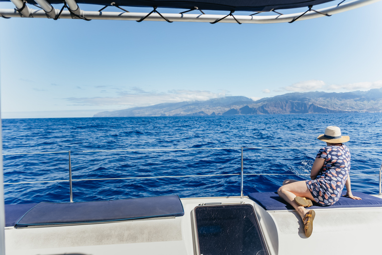 Funchal : observation de dauphins et baleines en catamaran