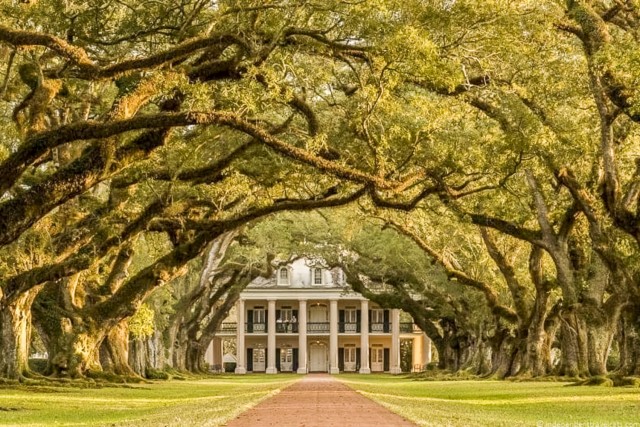 Visit From New Orleans Oak Alley Plantation Tour in New Orleans