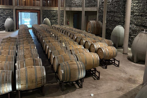 Matetic Winery Tour