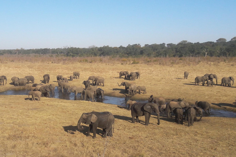 Chobe förlängd dagsutflykt