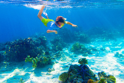 KhaoLak: Similan Islands Lazy Morning Snorkeling Catamaran