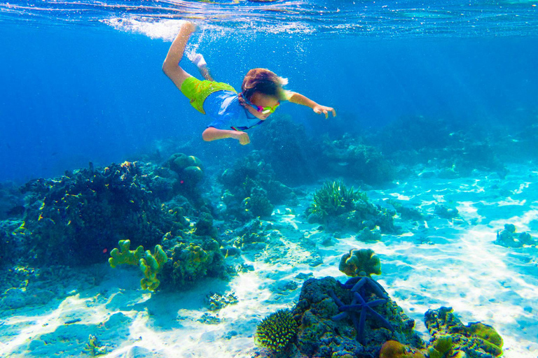 KhaoLak: Similan Islands Lazy Morning Snorkeling Catamaran
