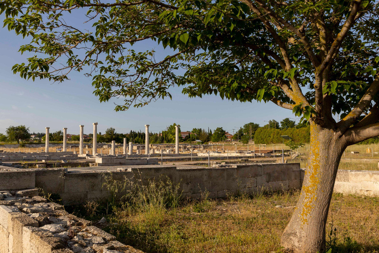 Ancient Pella Tour: In the Footsteps of Alexander