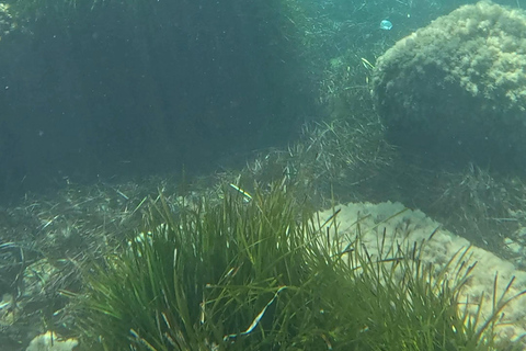 SCALA DEI TURCHI: Rent a KAYAK or Stand Up Paddle for 1 hour [+Snorkeling Kit] SCALA DEI TURCHI 1-hour STAND-UP PADDLEBOARD rental for 1 person