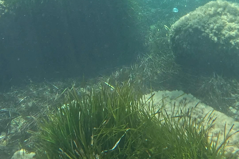 SCALA DEI TURCHI: Rent a KAYAK or Stand Up Paddle for 1 hour [+Snorkeling Kit] SCALA DEI TURCHI 1-hour STAND-UP PADDLEBOARD rental for 1 person