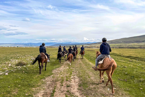 2-hour horse riding tour at Palomino Ranch