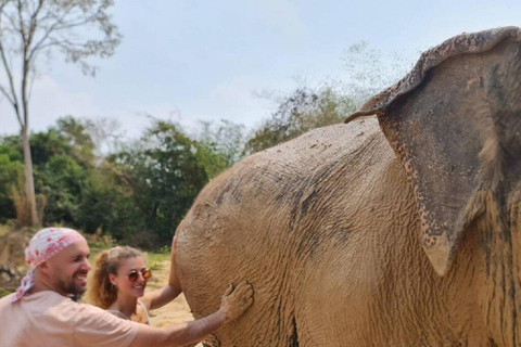 Visite du sanctuaire des éléphants et du temple de Banteay Srey au Cambodge