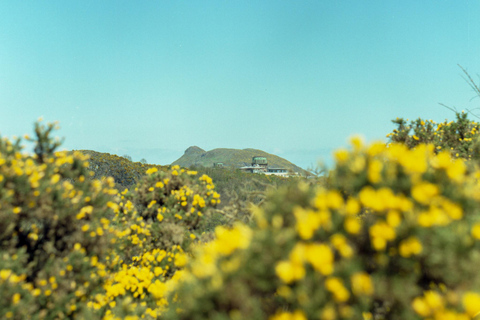 Edinburgh: Arthur's Seat Hike w/ Guide Tip-Based Hike Arthur's Seat Hike