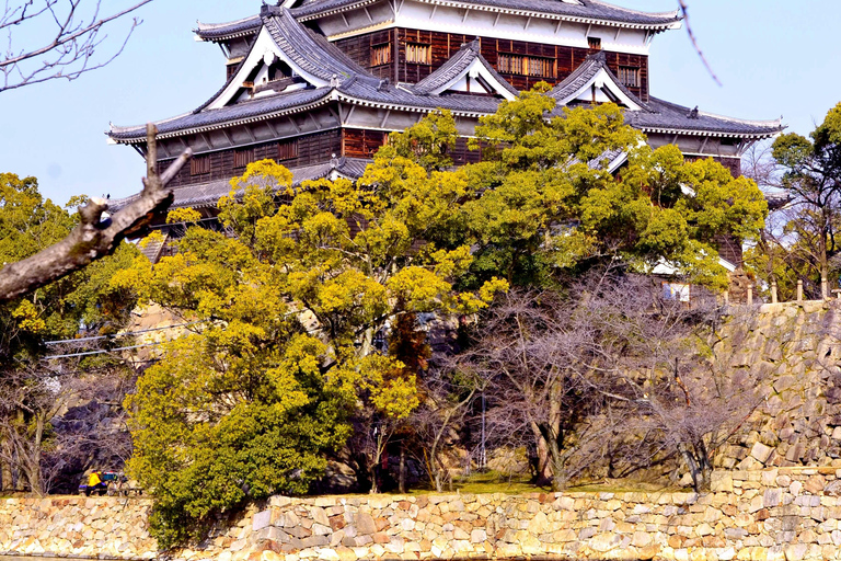 El Memorial de la Paz y más allá: Una visión de medio día de Hiroshima