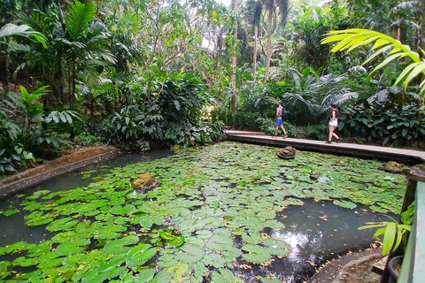 FIJI: Garden of the Sleeping Giant Tour InterContinental/Yatule/Yadua Bay/Shangri-La Pickup
