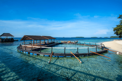 Jakarta: Sepa Thousand Islands Resort with Infinity Pool