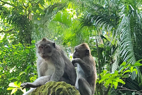 Ubud : Das Beste von Ubud Dorf, Kultur und Wasserfall TourenOption nur Privatwagen und Fahrer