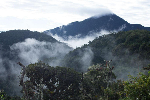 Cusco: Manu Reserved Zone 6-Day Amazon Jungle Expedition