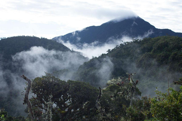 Cusco: Manu Reserved Zone 6-Day Amazon Jungle Expedition