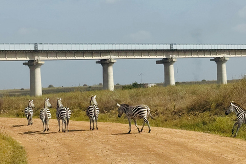 Nairobi Park Safari, Sheldrick's Orphanage & Giraffe Center Shared Drive in Open-Roof Van Game Drive