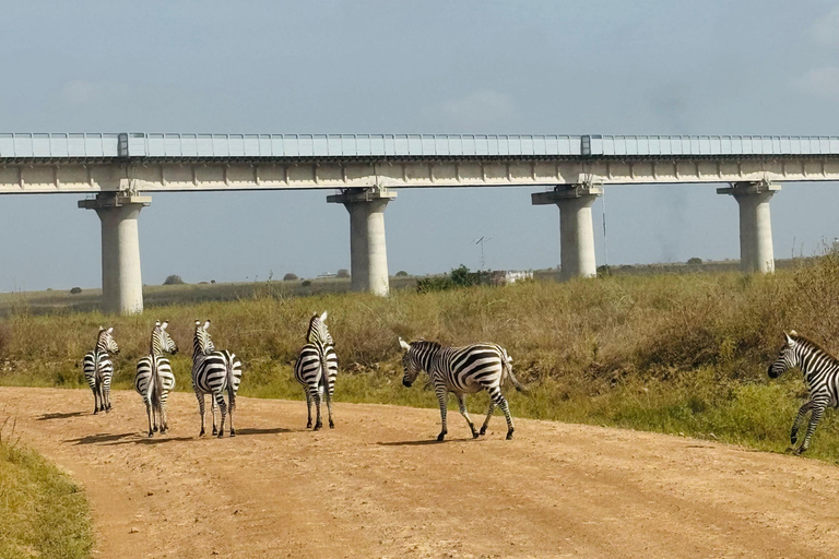 Nairobi Park Safari, Sheldrick's Orphanage & Giraffe Center Shared Drive in Open-Roof Van Game Drive