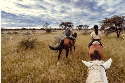 Botsuana: safari a caballo por la reserva natural de Mashatu