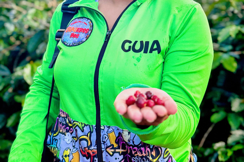 Medellín: Kaffeefarm-Tour – Probiere die Geschichten der SierraSpanisch