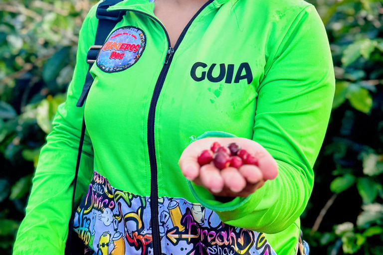 Medellín: Kaffeefarm-Tour – Probiere die Geschichten der SierraSpanisch