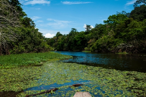 4-Day All Inclusive Guided Jungle Tour from Iquitos
