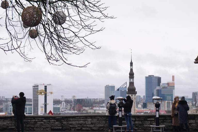 Audiotour over de Toompea-heuvel (Kathedraalheuvel) in Tallinn