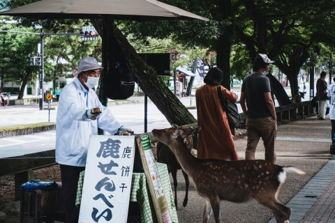 Nara Heritage Walkabout z parku Nara do świątyni Todaji-jiWycieczka prywatna