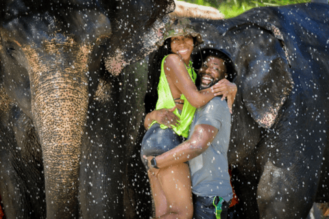 Phuket: Elephant Jungle Sanctuary Feed and Shower