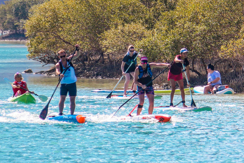 Abu Dhabi: Stand-Up Paddle boarding Tour guiado