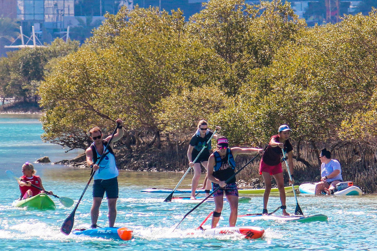 Abu Dhabi: Stand-Up Paddle boarding Tour guiado