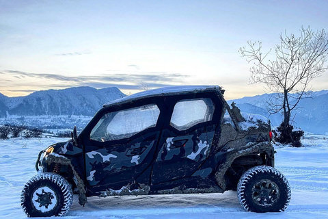 Brașov: Carpathian Mountains Off-Road Buggy or ATV Tour