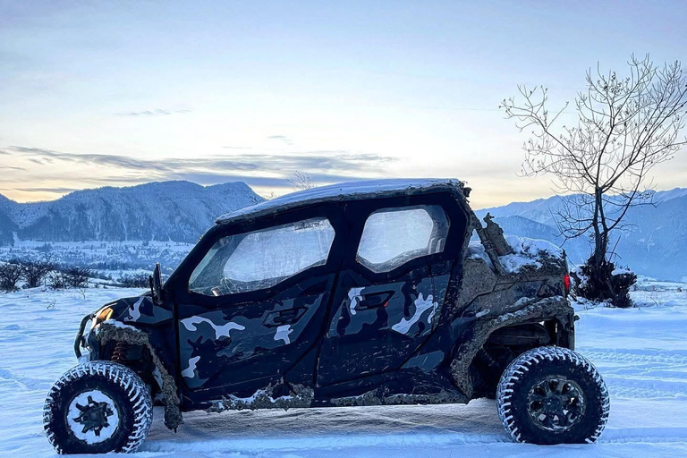 Brașov: Carpathian Mountains Off-Road Buggy or ATV Tour