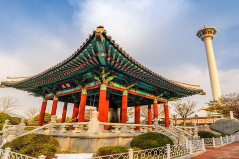 Busan: Jagalchi Market & Gamcheon village Walking Tour 3 Hours Small Group Walking Tour