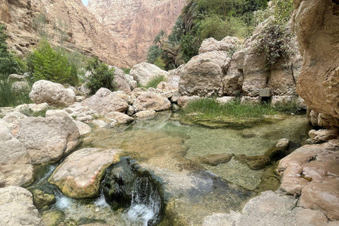 Au départ de Mascate : 2 jours, 1 nuit à Ras Al Hadd