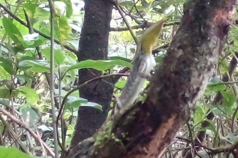 From Kandy: Knuckles Mountain Range Exploration Day Tour