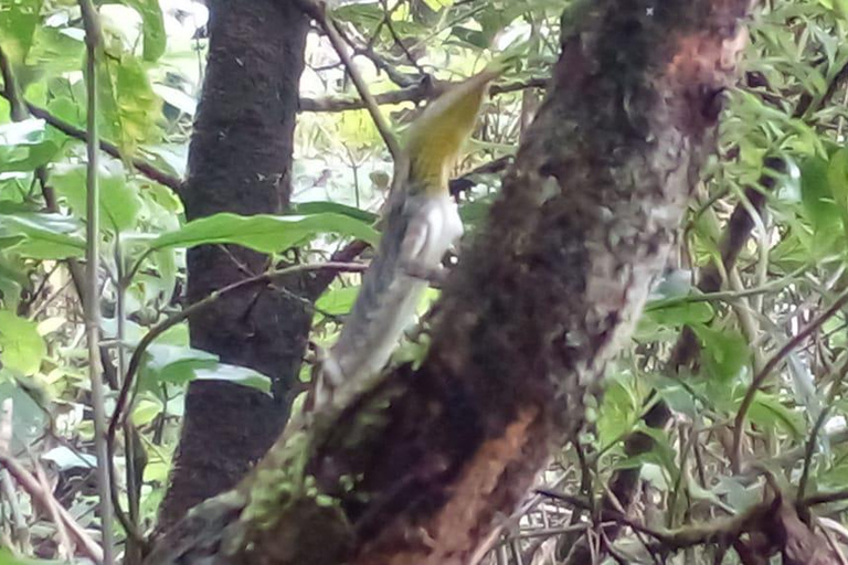 From Kandy: Knuckles Mountain Range Exploration Day Tour