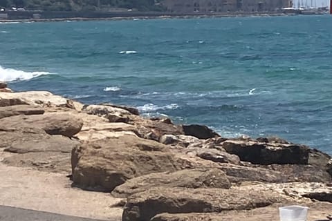 Tel Aviv Art Tour of Neve Tzedek
