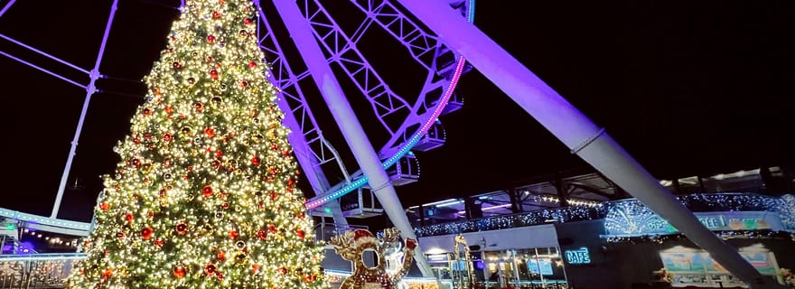Montréal : visite à pied privée des illuminations de Noël