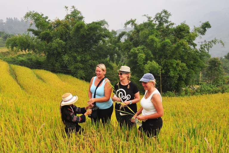 Desde Hanoi: excursión de dos días a Sapa, senderismo y pueblos étnicos