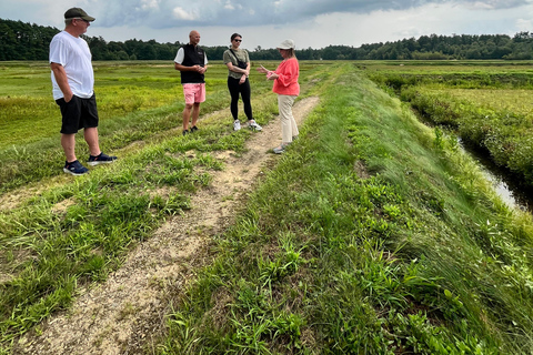 Guided Tour of a Local New England Cranberry Farm