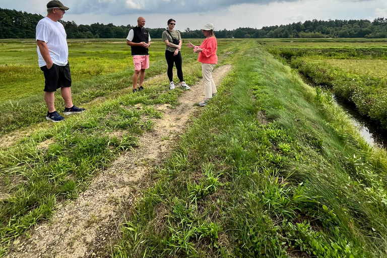 Guided Tour of a Local New England Cranberry Farm