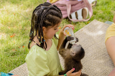 Punta Cana: Monkey Houses and Parrots Park with Hotel Pickup