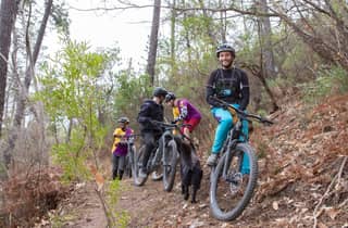 Siena: Fahrradtour durch das Val di Merse & zur Abtei San Galgano