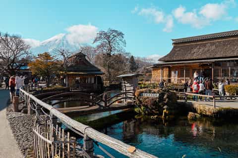 From Tokyo: Mt. Fuji Full-Day Sightseeing Trip