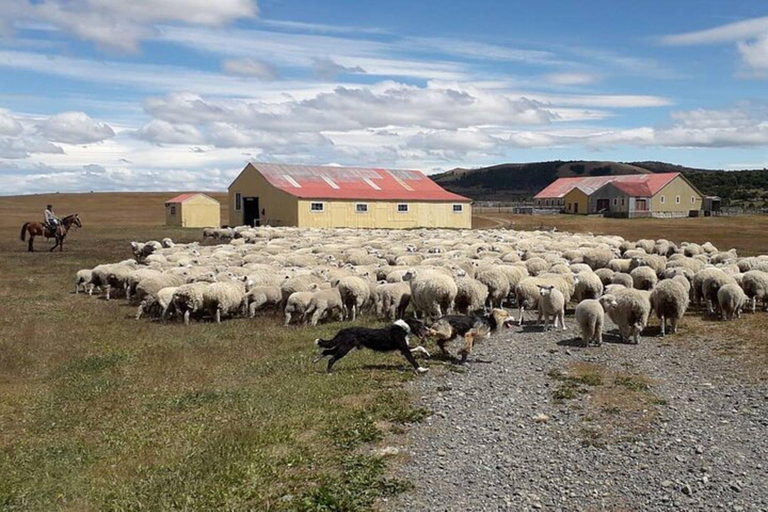 Laguna Blanca: Estancia Tour with Lamb Lunch