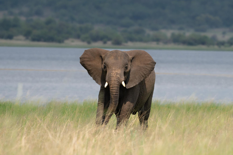 Safari económico en PilanesbergAtardecer de 3 días