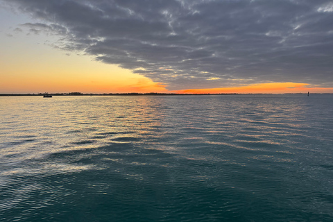 Destin: Sunset Pontoon Boat Cruise With Dolphin Watching