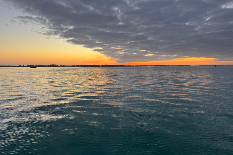 Destin: Sunset Pontoon Boat Cruise With Dolphin Watching