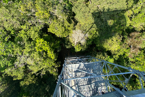 Private tour of the Amazon Museum in Manaus Private Tour at Musa (Amazon Museum) in Manaus