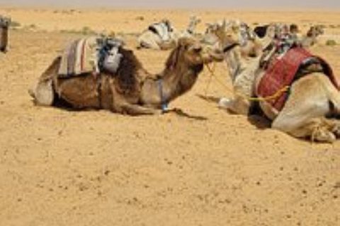 From Djerba: Full-Day 4x4 Sahara Desert Tour to Ksar Ghilane